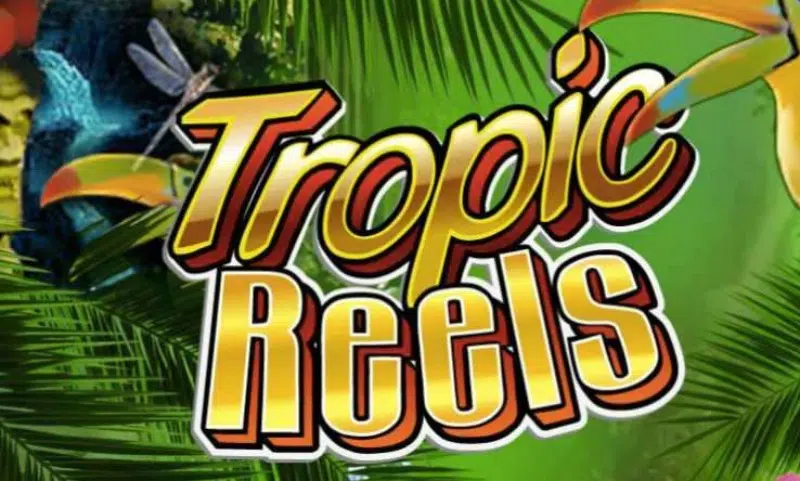 Tropic Reels