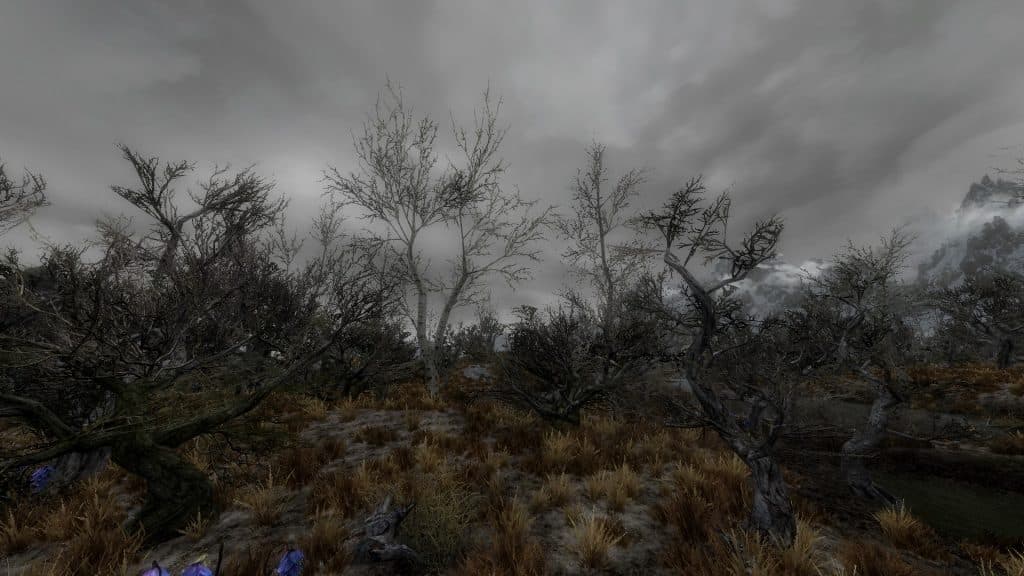 Forests of Skyrim