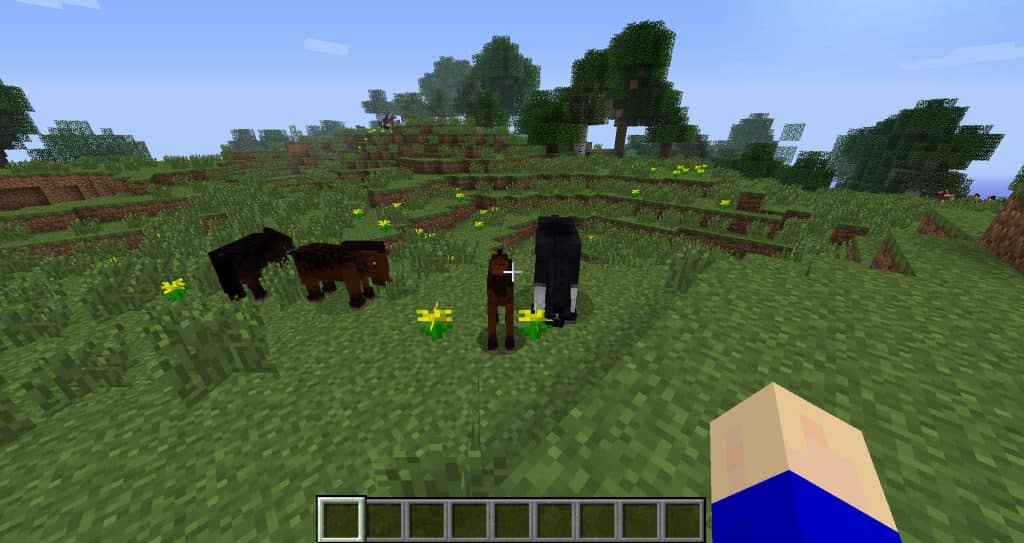 HORSE ISLAND SURVIVAL