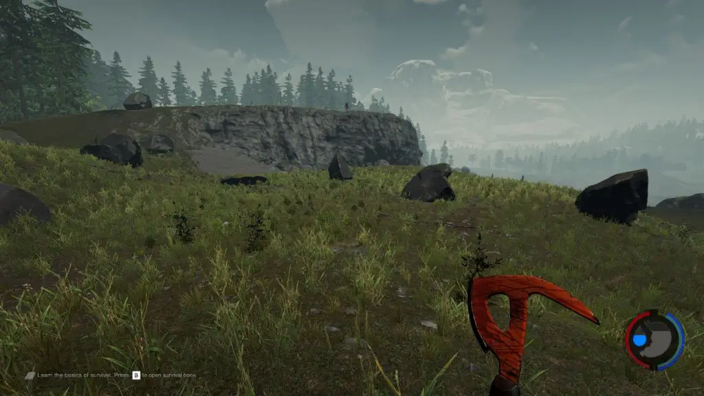 The Forest