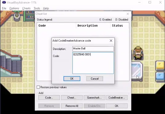 enter the description and cheat code
