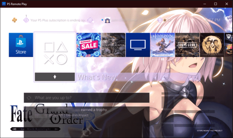PS4 screen on PC