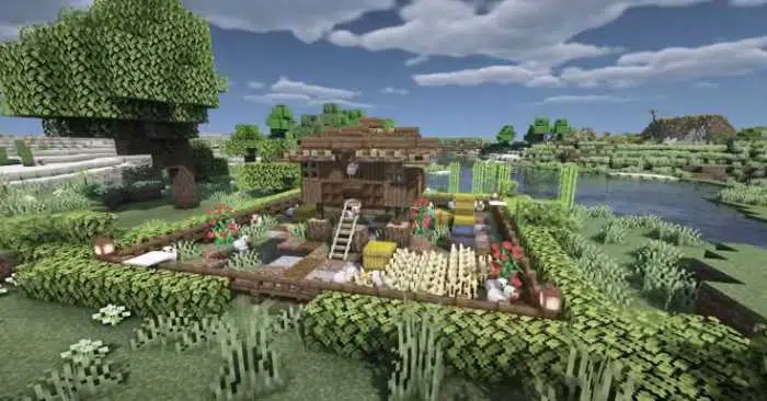 Chicken Coop