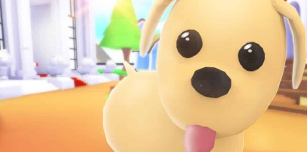 Common Adopt Me Pets