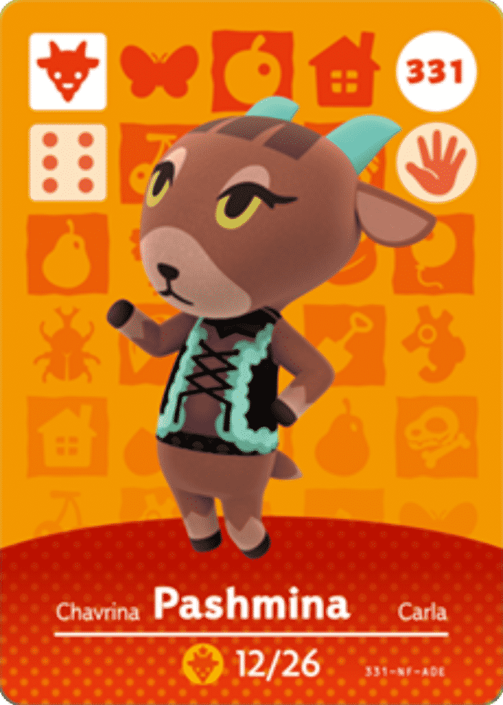 How To Get Pashmina
