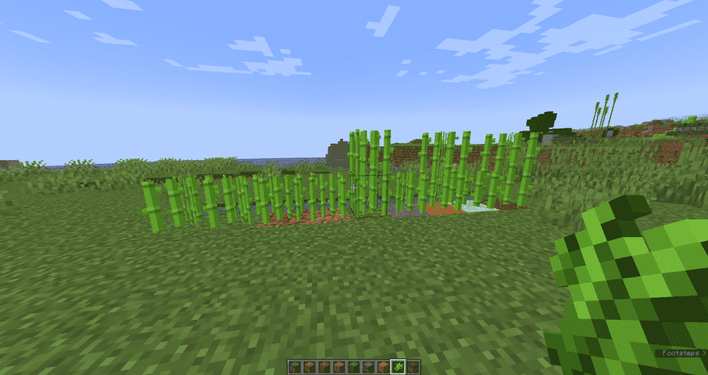 Minecraft, sugar cane does not depend on light to grow