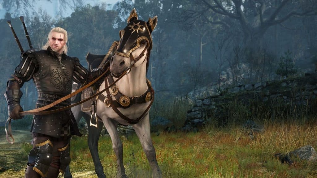 Nilfgaardian armor