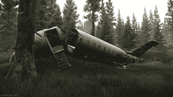 Plane Crash Site