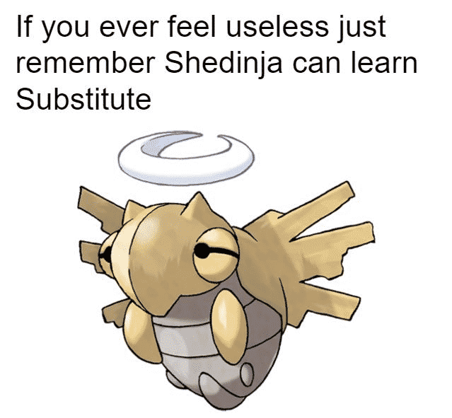 Pokemon Game Memes-10