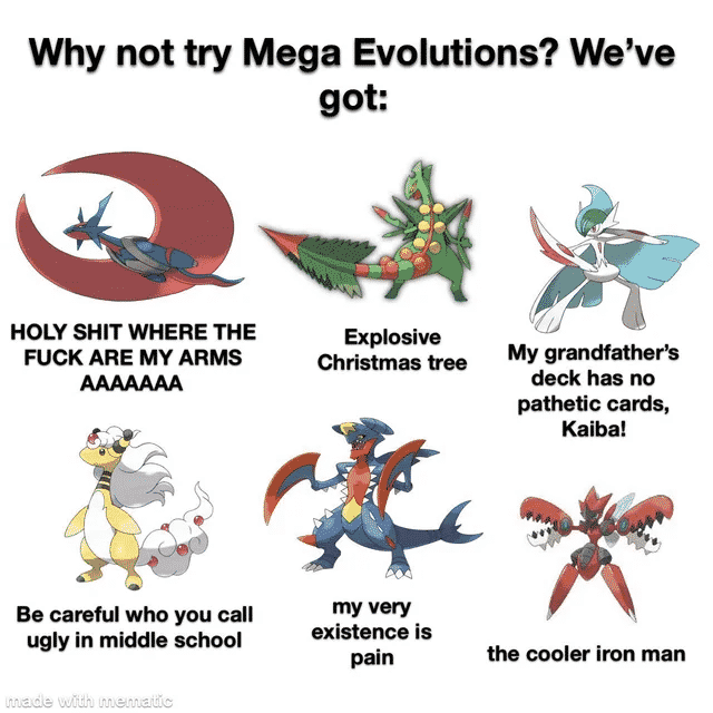 Pokemon Game Memes-11