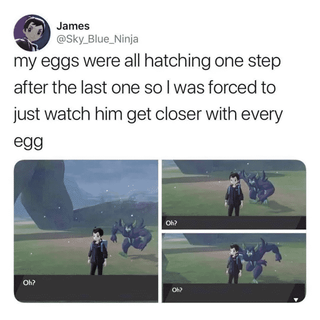 Pokemon Game Memes-17