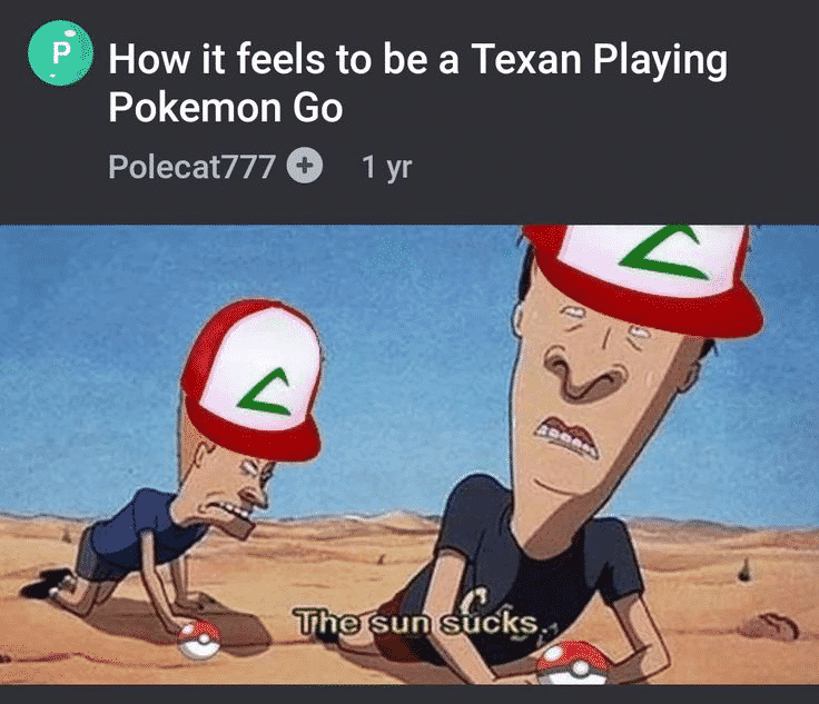 Pokemon Game Memes-6