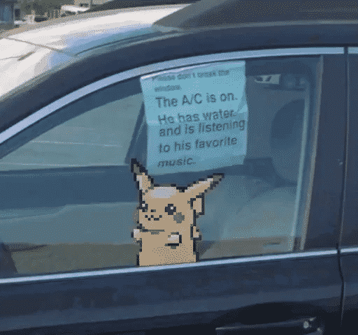 Pokemon Memes The Classics-3