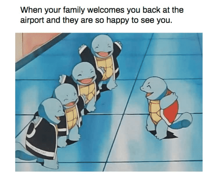Wholesome Pokemon Memes-1