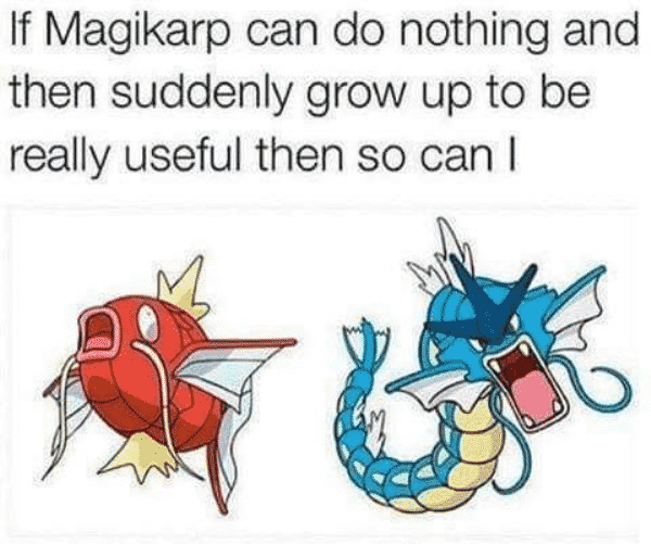 Wholesome Pokemon Memes-14