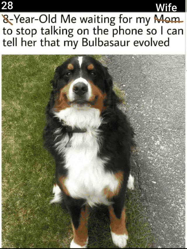 Wholesome Pokemon Memes-17