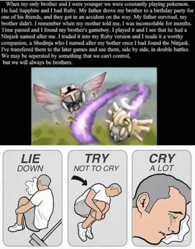 Wholesome Pokemon Memes-18