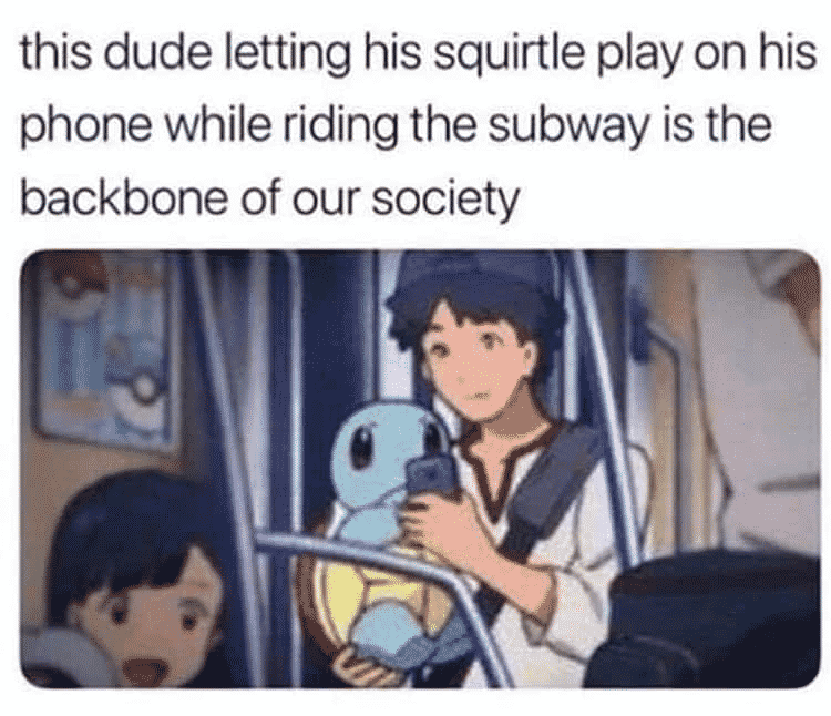 Wholesome Pokemon Memes-8