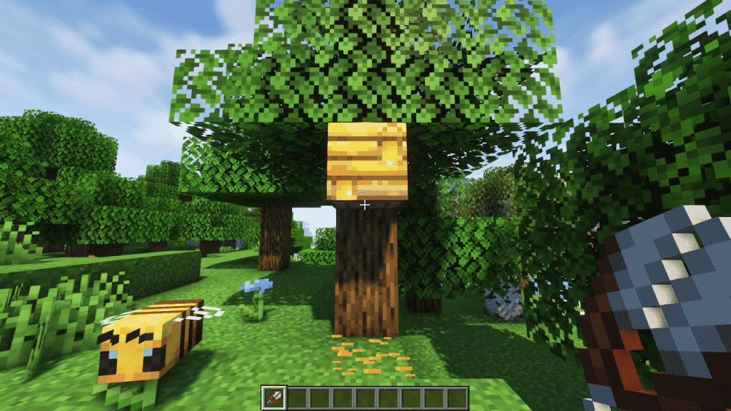 bee nest or beehive