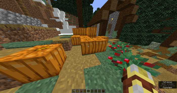 carved-out Pumpkin