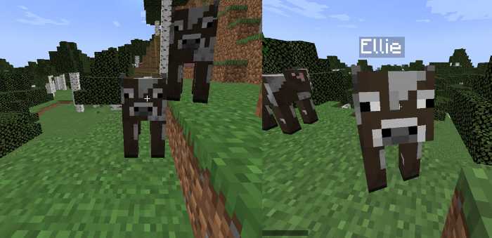 find mob