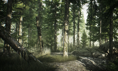 Escape From Tarkov: Woods Map Guide (Extraction, Keys & More) the woods map
