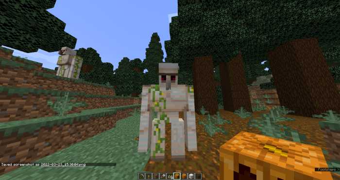 the Iron Golem