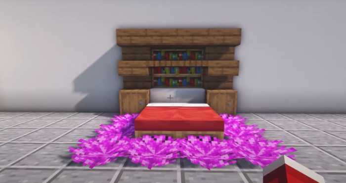 Bubble Coral Bed