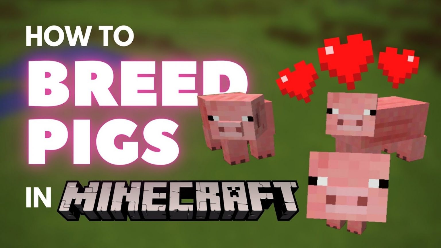 How to Breed Pigs in Minecraft How to Breed Pigs in Minecraft