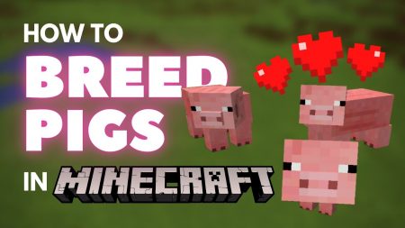 How to Breed Pigs in Minecraft How to Breed Pigs in Minecraft