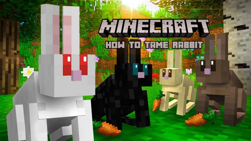 How to Tame Rabbit in Minecraft