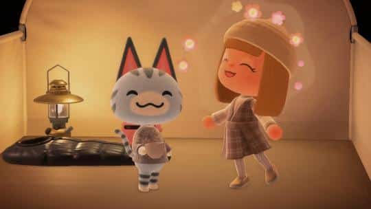 Lolly in Campsite