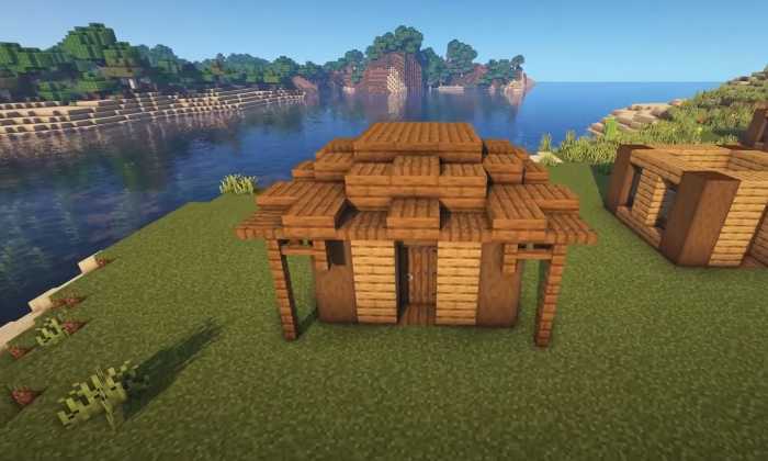 Low Shack Roof