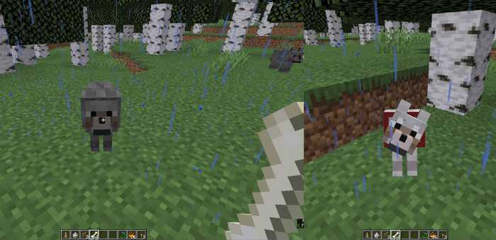 Use bones to tame the dog Minecraft