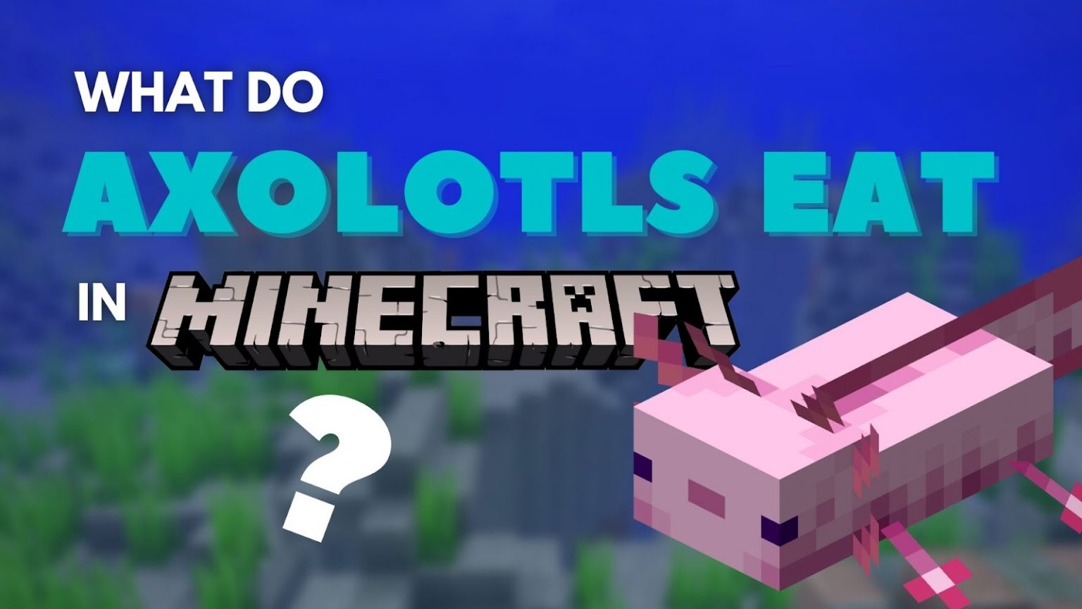 What Do Axolotls Eat in Minecraft? What Do Axolotls Eat in Minecraft