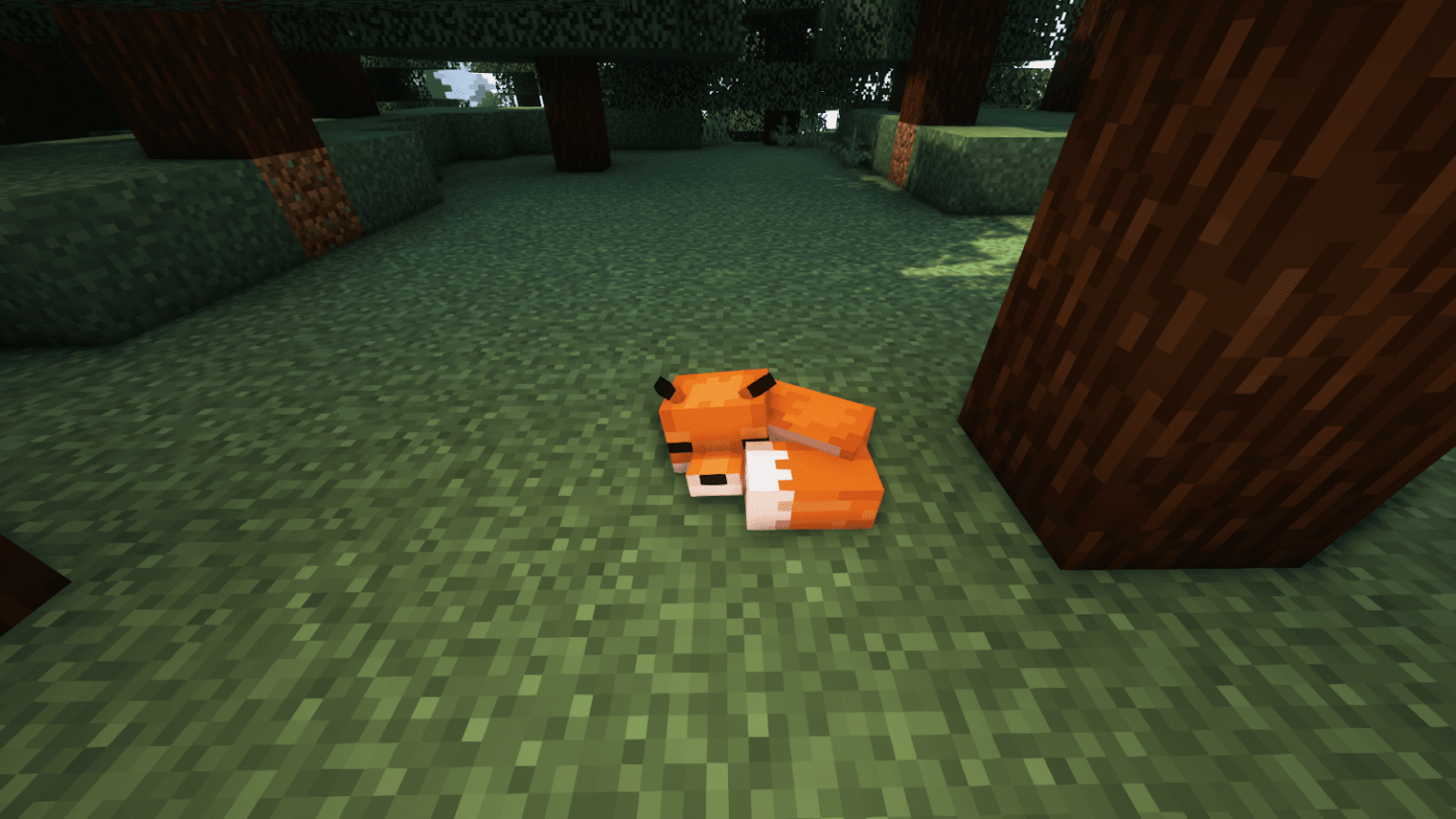 What Do Foxes Eat in Minecraft? What Do Foxes Eat in Minecraft