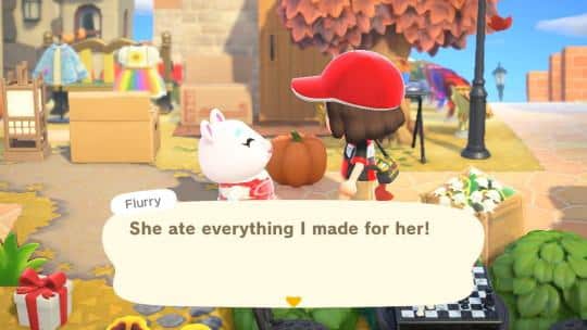 What To Get Flurry