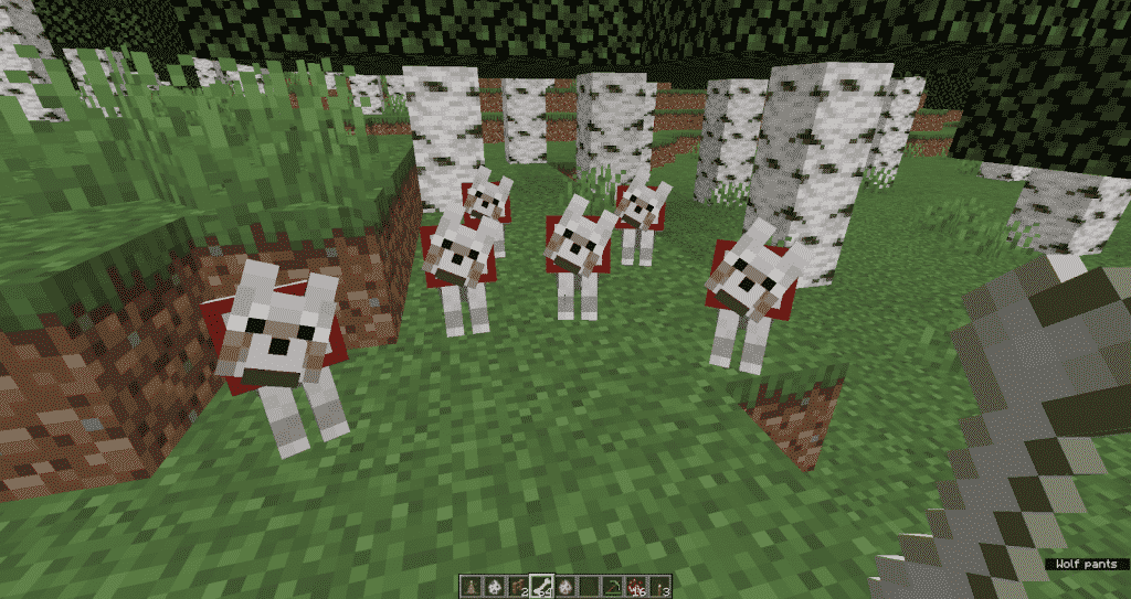 What You Need to Tame a Dog