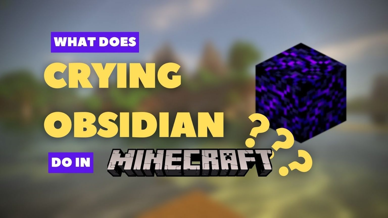 What Does Crying Obsidian Do in Minecraft What does crying obsidian do in Minecraft