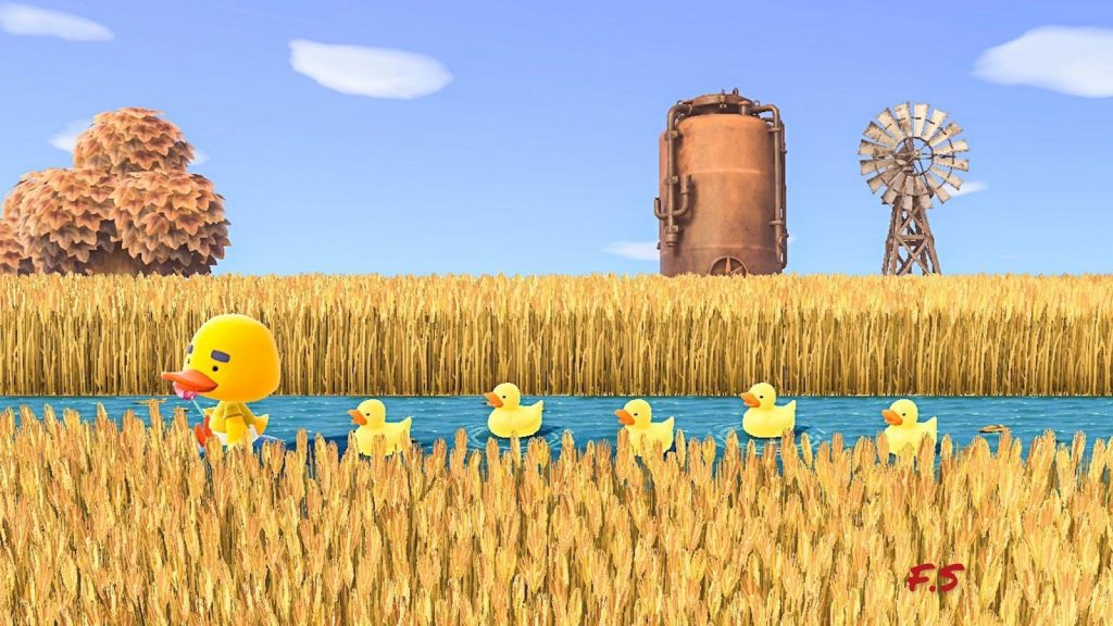 Wheatfield