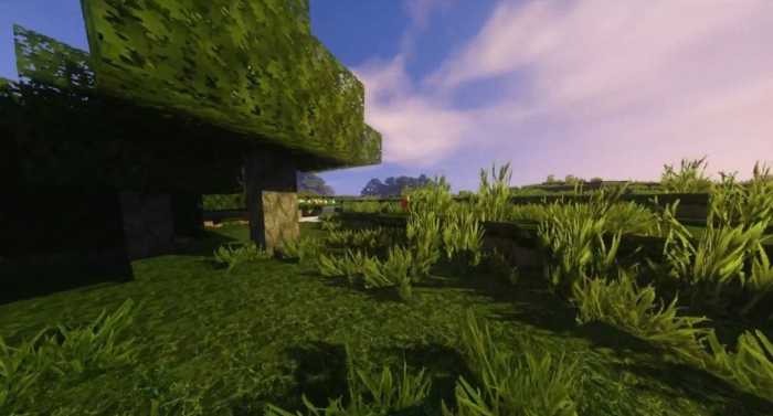 backyardcraft