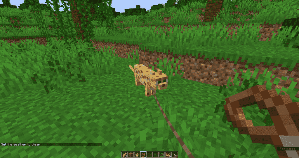 lead on the Ocelot