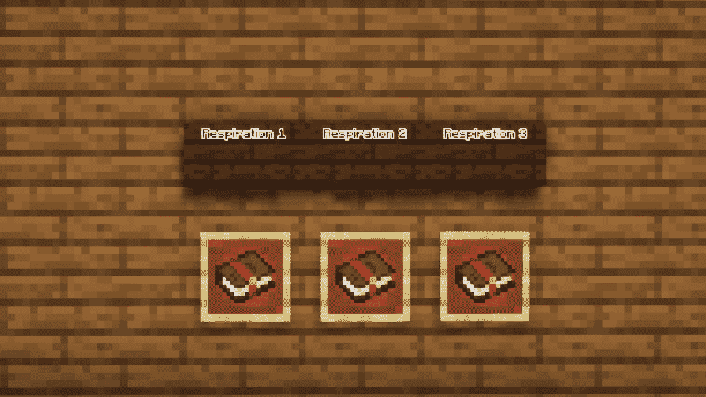 minecraft 3 levels Respiration