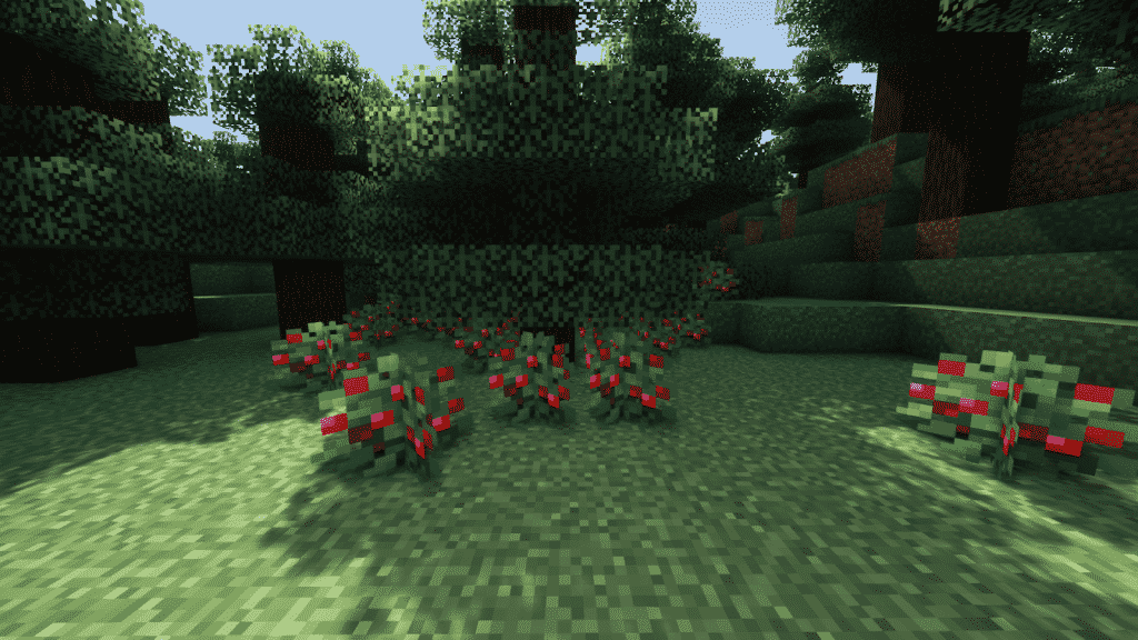minecraft berries 