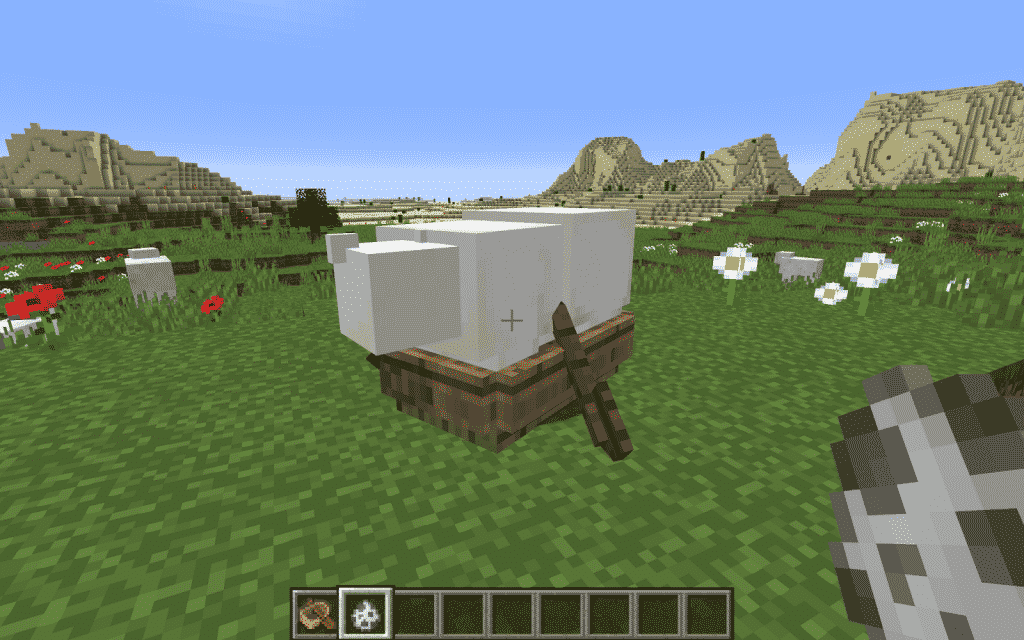 polar bear in the boat