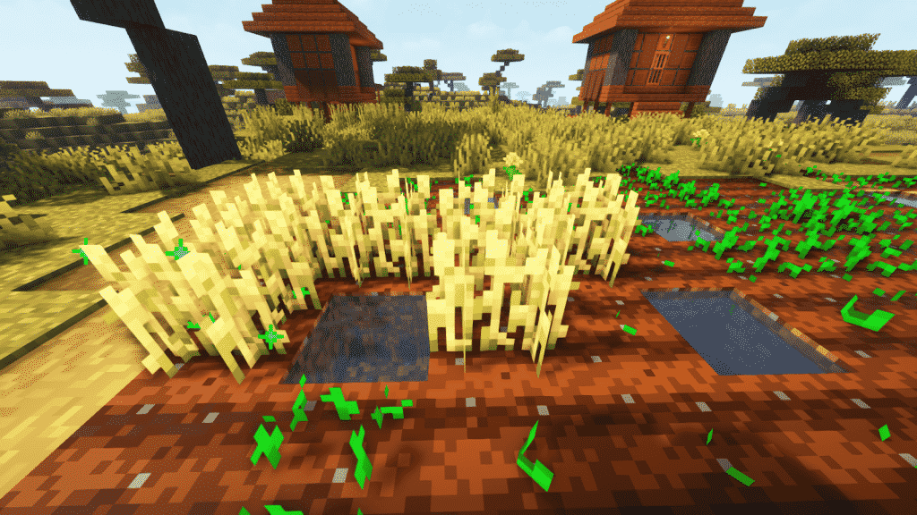 ripped crops