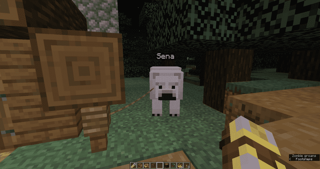 tie polar bear to a fence
