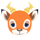 Beau