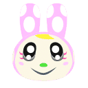Chrissy