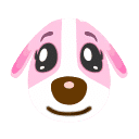 Cookie